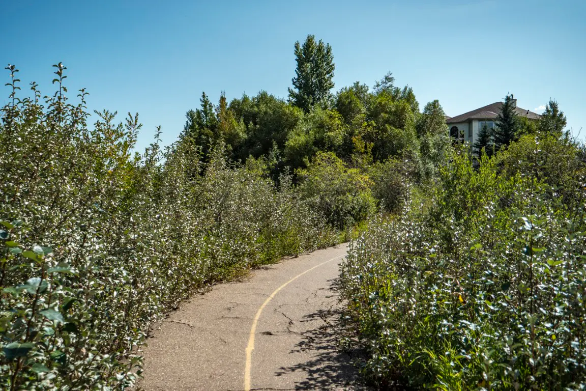 Bridlewood streetscape