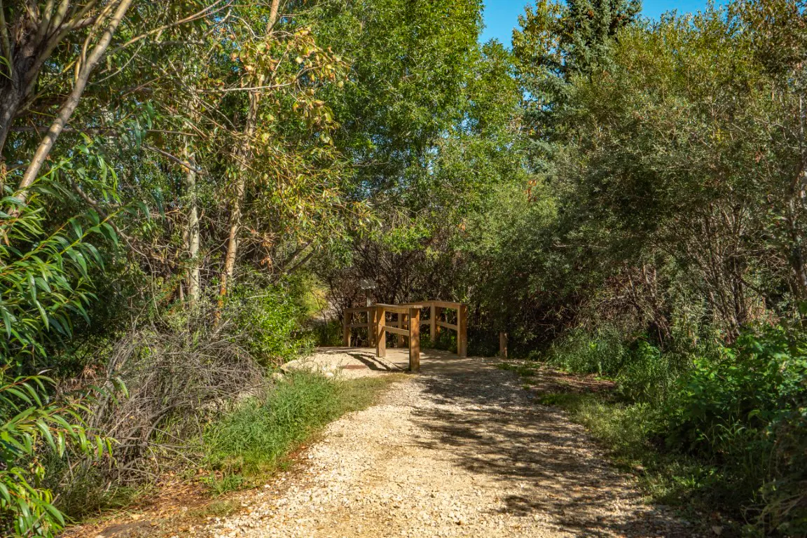 Homes in Bridlewood